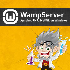 Domain Directing and Virtual Host Setup for WAMP Server